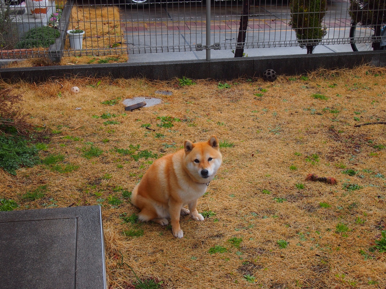 “台球赛事:天府校区体育馆见证完美击球与完美策略”