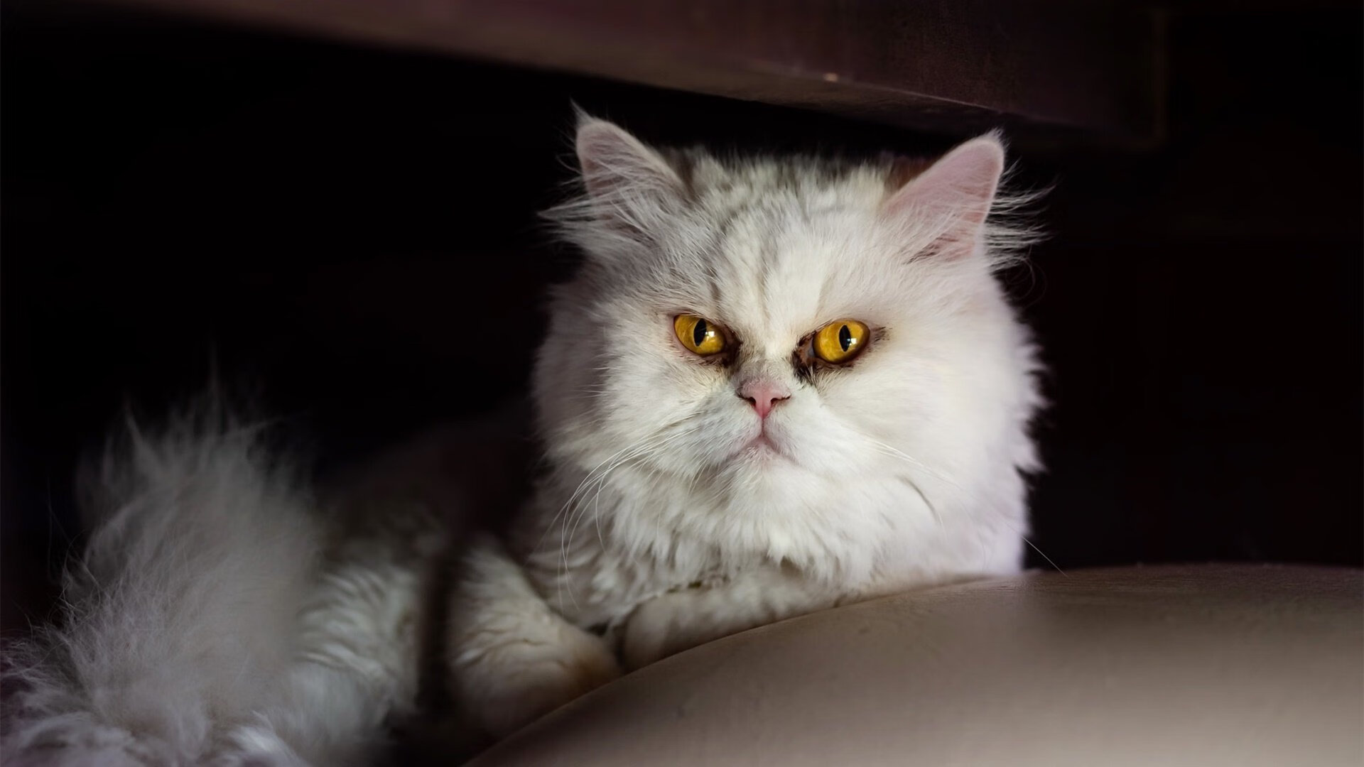 五大联赛变化战术元素如何影响球员数据表现，五大联赛的打法风格