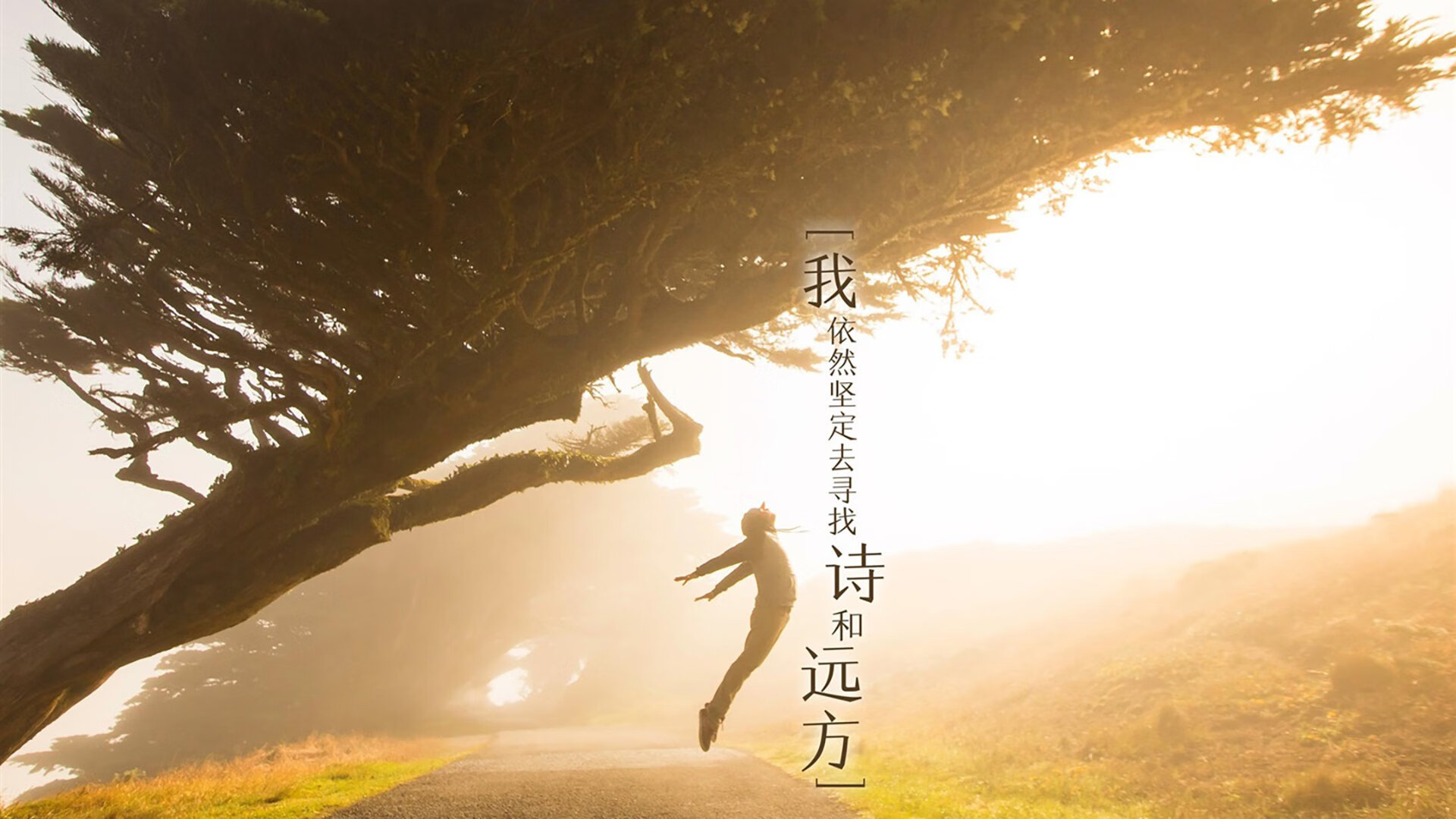 法兰克福整体推进有序扩大进攻覆盖，法兰克福专区