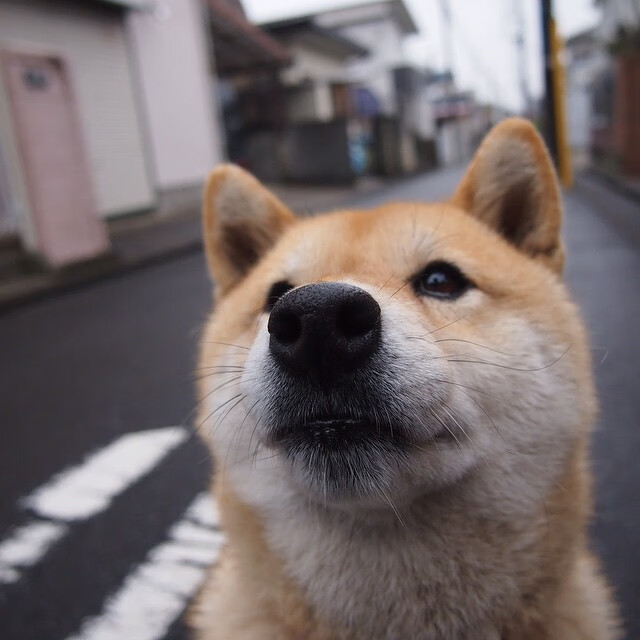 新兴足球国家在国际比赛中崭露头角,潜力巨大引关注,新兴球队