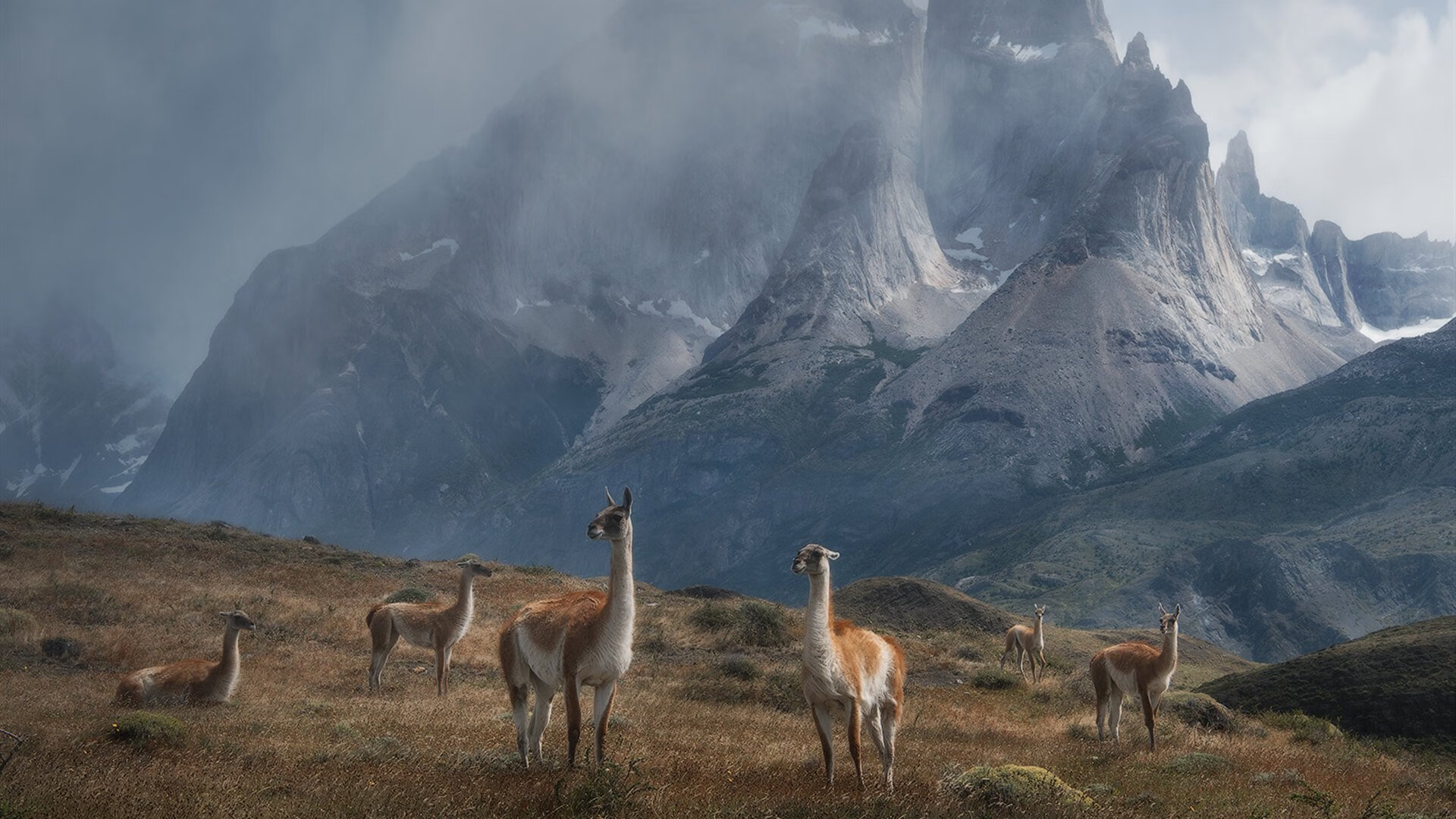 法甲瞬间：门将的奇迹救球引发全场沸腾，门将进球集锦