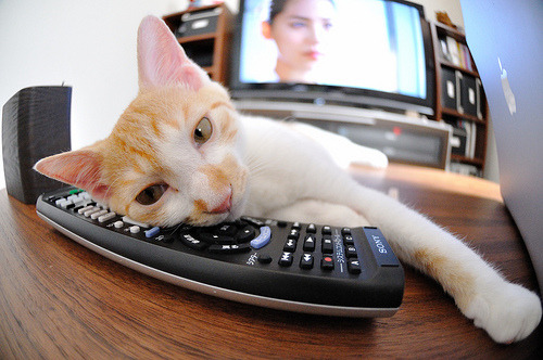 澳大利亚橄榄球赛事转播权创历史新高,澳式橄榄球比赛